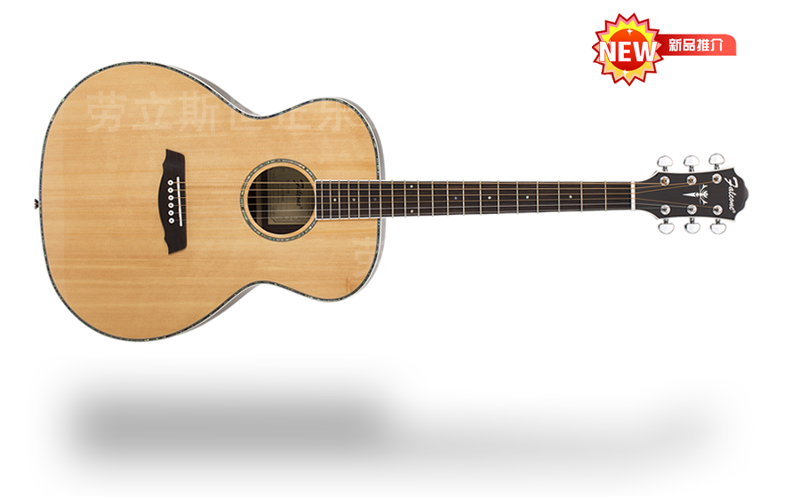 山东劳立斯世正乐器有限公司 FG60 